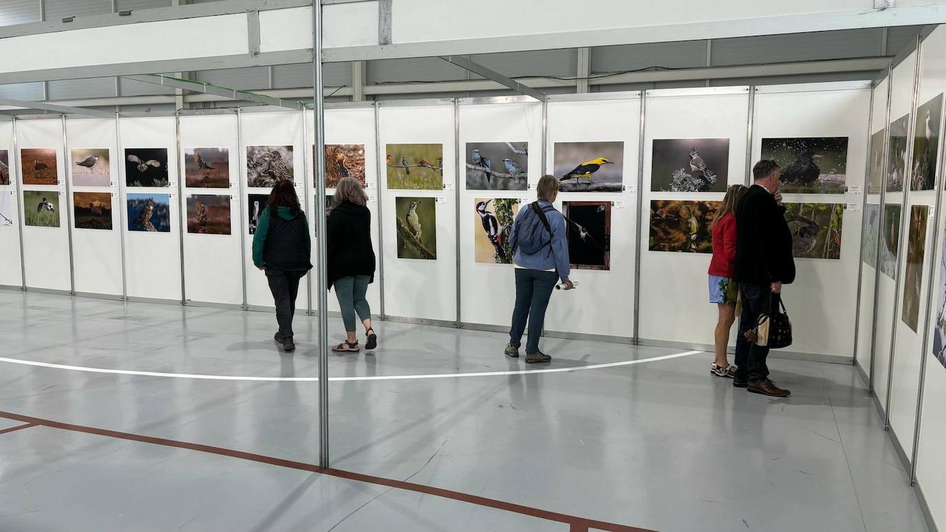 Distintos asistente contemplan la exposición de fotografías que se ha organizado.