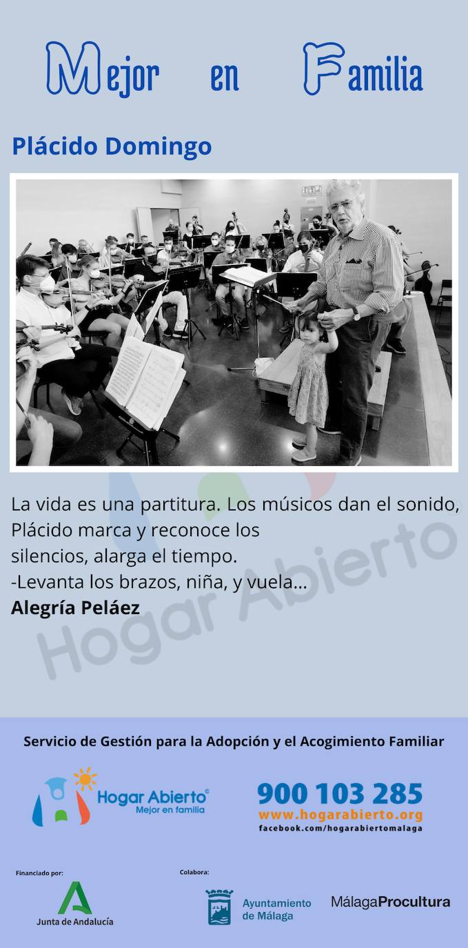 Todas las fotos de la exposición destrozada de Hogar Abierto en la calle Larios de Málaga