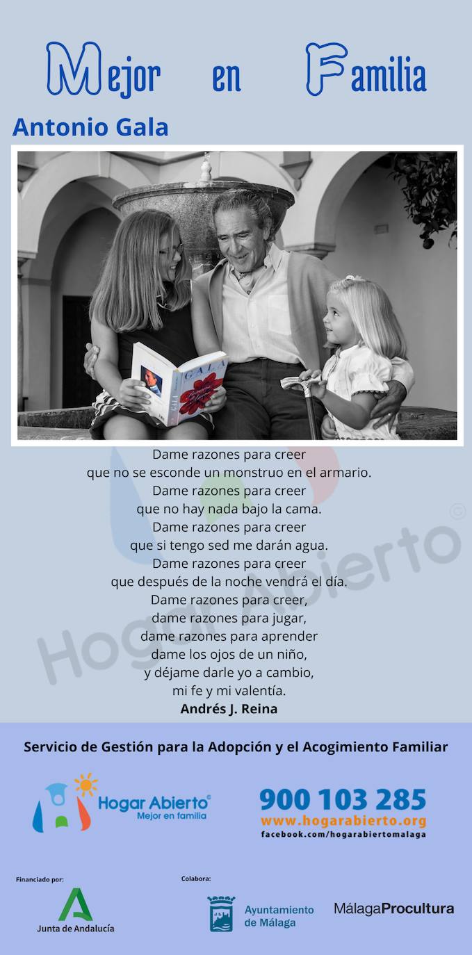 Todas las fotos de la exposición destrozada de Hogar Abierto en la calle Larios de Málaga