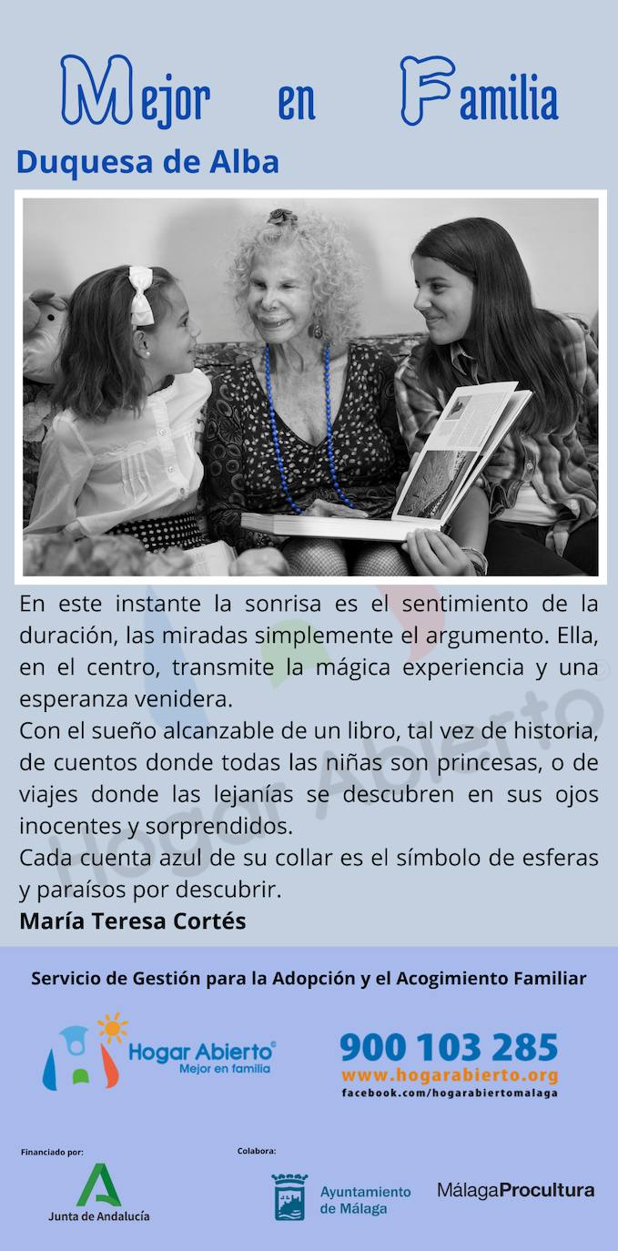 Todas las fotos de la exposición destrozada de Hogar Abierto en la calle Larios de Málaga