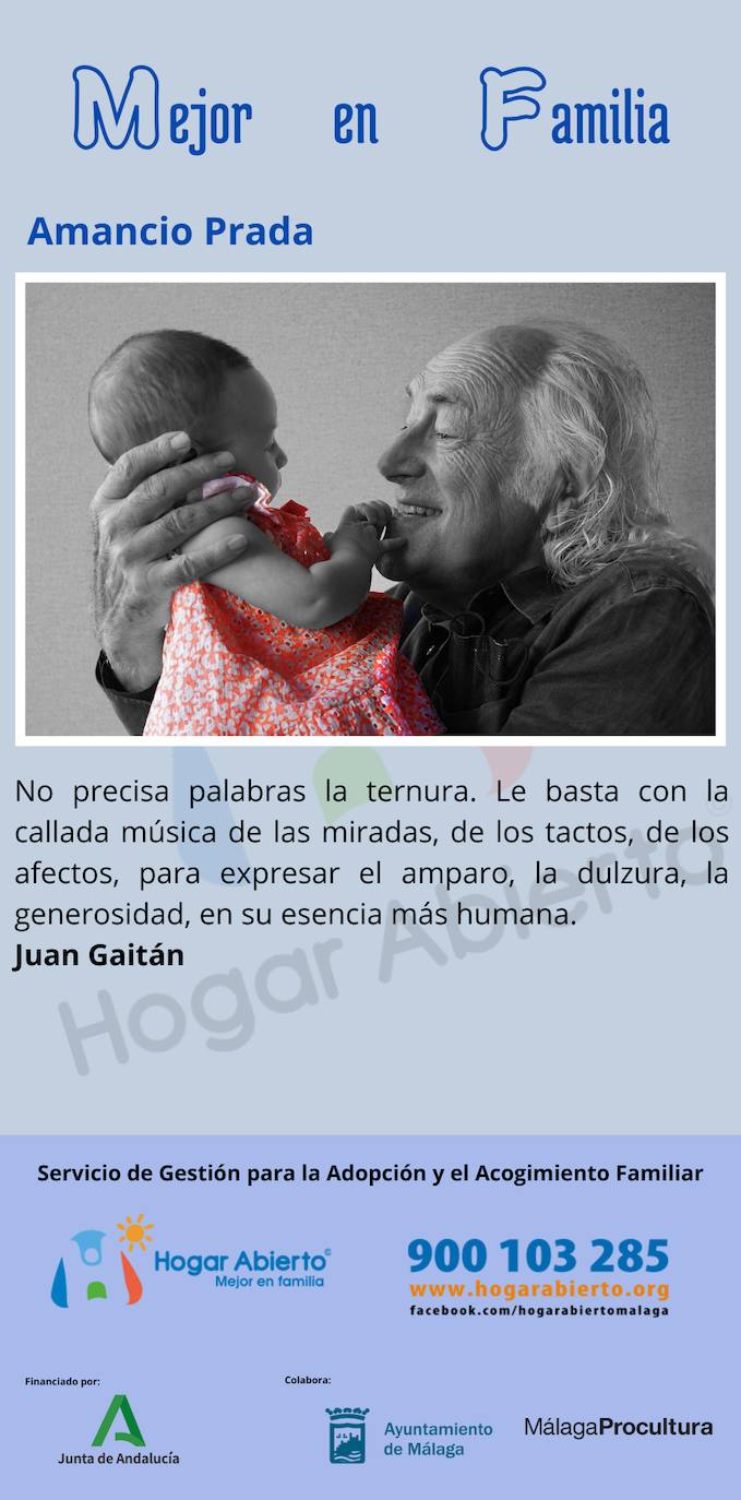 Todas las fotos de la exposición destrozada de Hogar Abierto en la calle Larios de Málaga