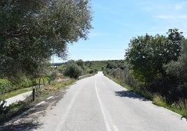 Calzada en la que se tiene previsto intervenir.