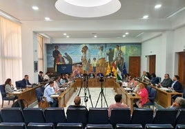 La Corporación Municipal de Rincón de la Victoria reunida en pleno.