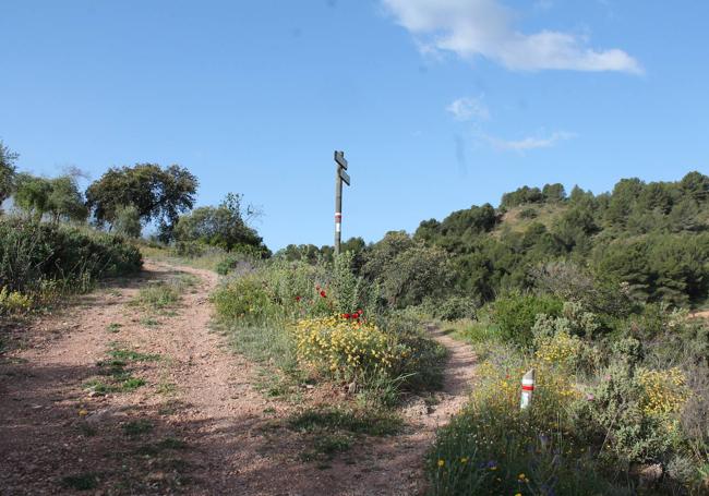 Encrucijada del puerto del Lobo