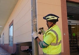 Meticulosa labor de un operario del área de Sostenibilidad Ambiental para retirar pegatinas de un poste.