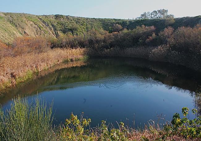 Hay pequeñas lagunas, donde antes se extrajo arcilla, que tienen un ecosistema valioso.
