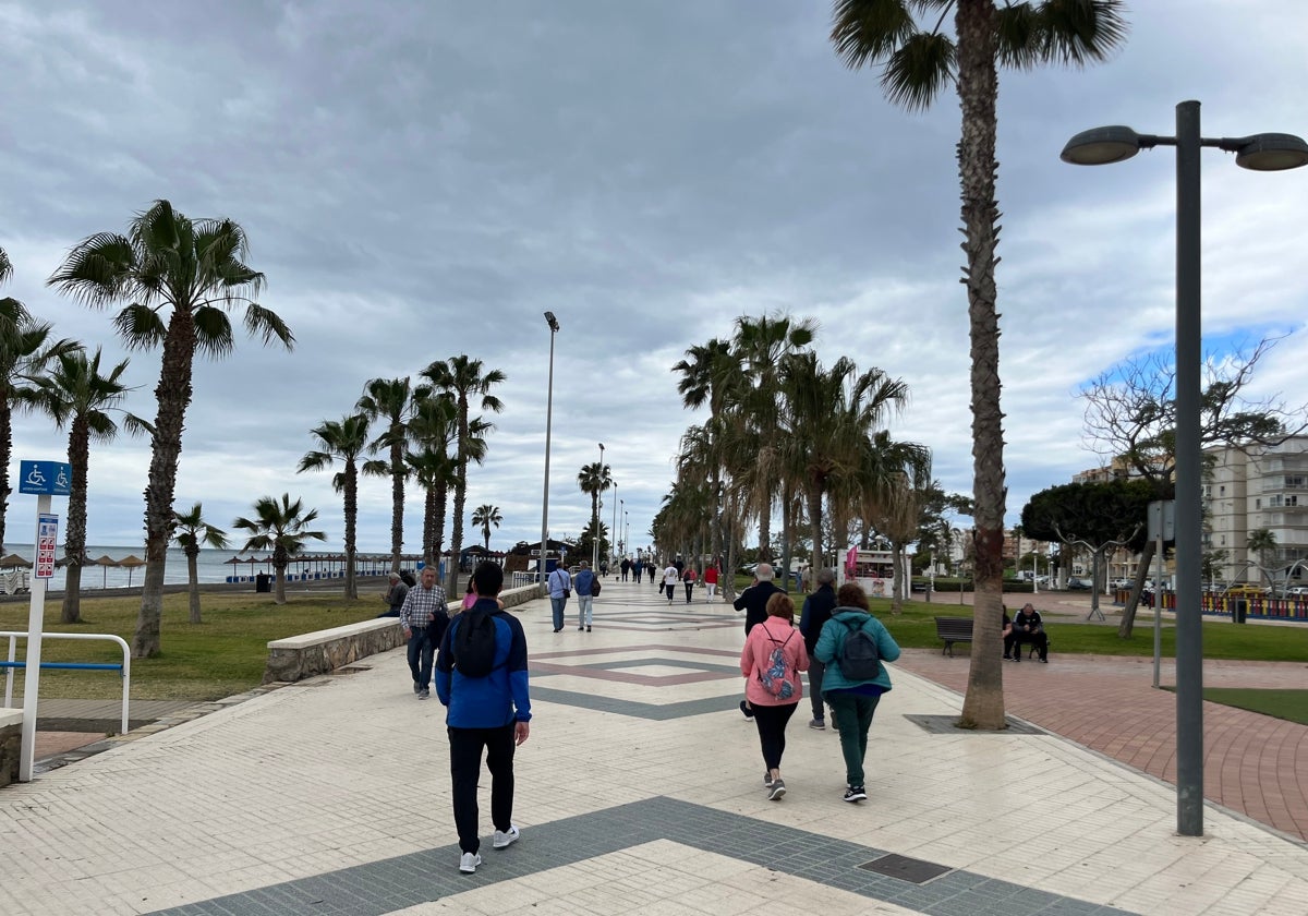 El paseo marítimo de Torre del Mar, un tesoro botánico por descubrir