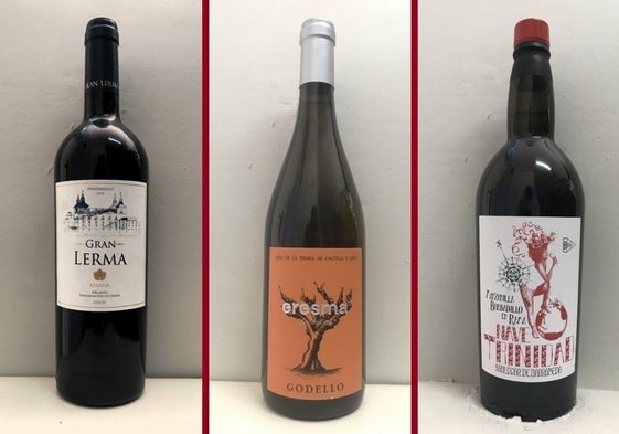 La cata: los vinos recomendados de la segunda semana de mayo