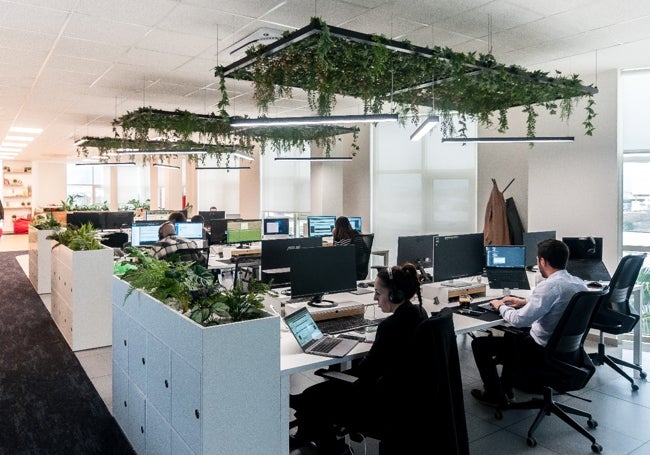 Empleados en la oficina de Solbyte.