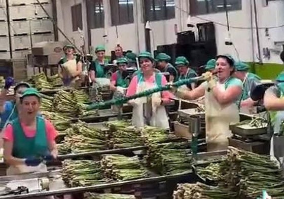 El vídeo viral al ritmo de Camela de las esparragueras de Sierra de Yeguas