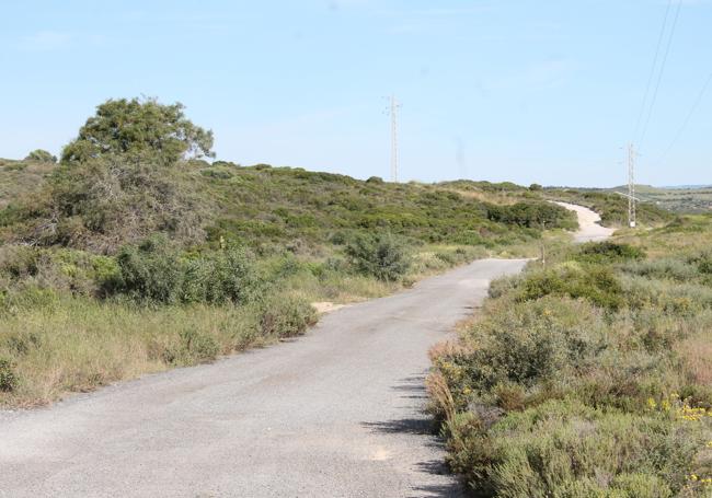 Carril ancho por donde discurre el camino que lleva hacia el cerro de los Castillejos del Alcorrín.