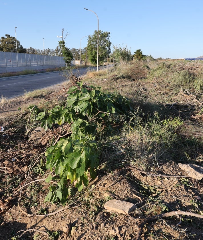 Imagen secundaria 2 - Más imágenes del estado de la calzada de la carretera Campo de Golf. 