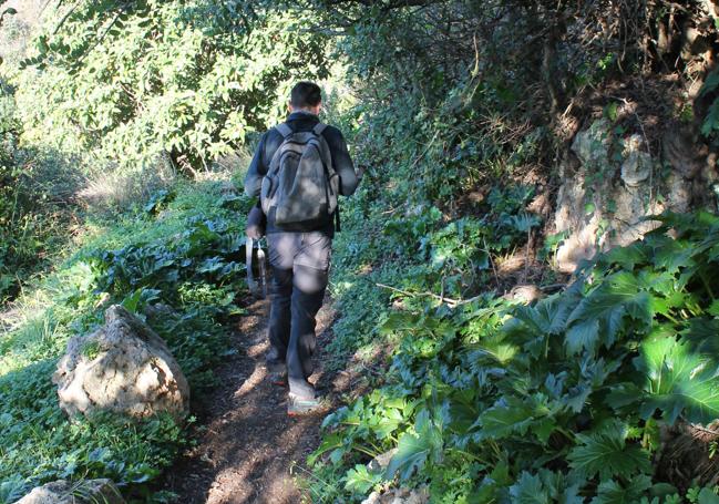 Tras pasar por el Cerezal, en esta ruta se camina por una antigua acequia.