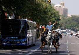 El turismo es uno de los motores de la economía malagueña que explica que sobresalga en Andalucía.