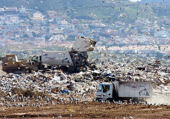 Camiones de Limasam en el vertedero de Los Ruices.