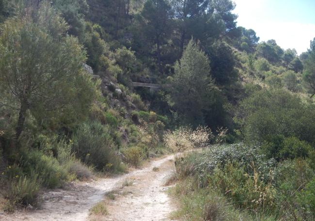 Carril de tierra en los primeros metros