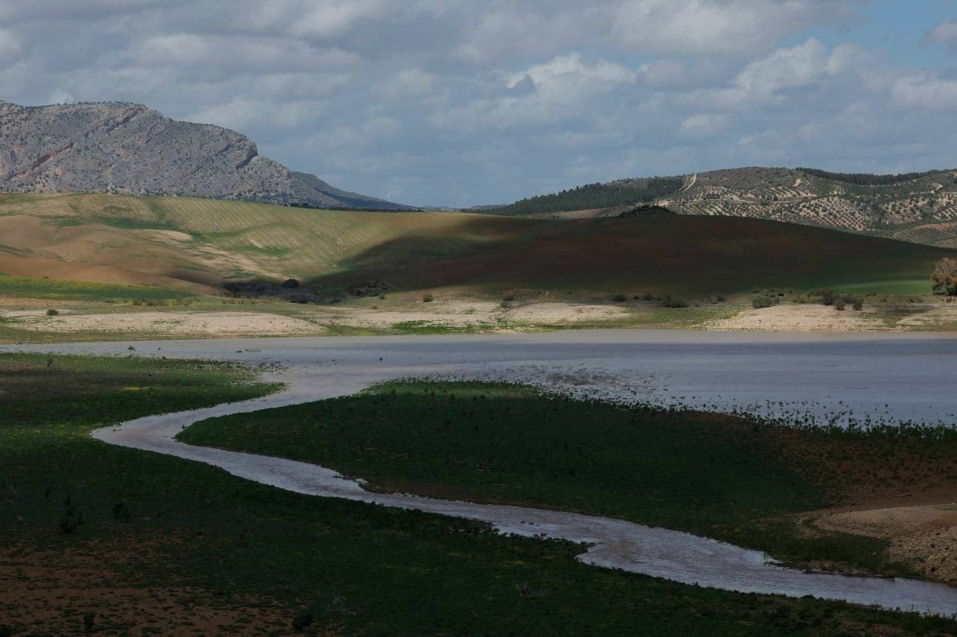 Estado de los embalses de Málaga hoy miércoles, 12 de junio de 2024