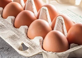 Los mejores huevos por calidad y precio de los supermercados: el veredicto de la OCU