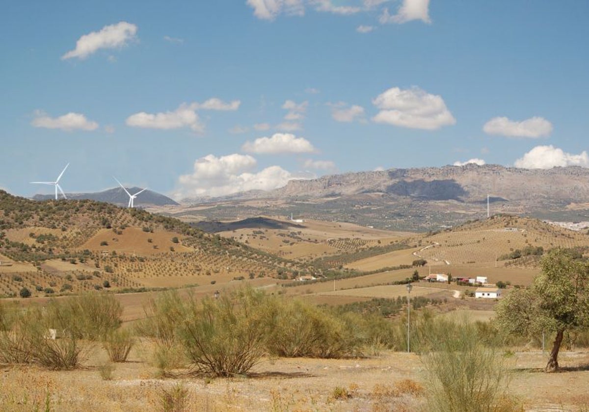 Imagen ficticia sobre cómo se vería el paisaje con nuevos aerogeneradores.