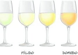 Vinos blancos, aromas y sabores muy versátiles