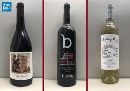 La cata: los vinos destacados de la cuarta semana de mayo