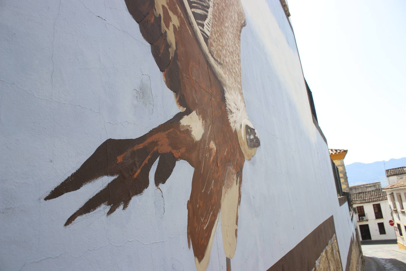 Cortes de la Frontera luce en unos 15 murales y otras obras en sus paredes