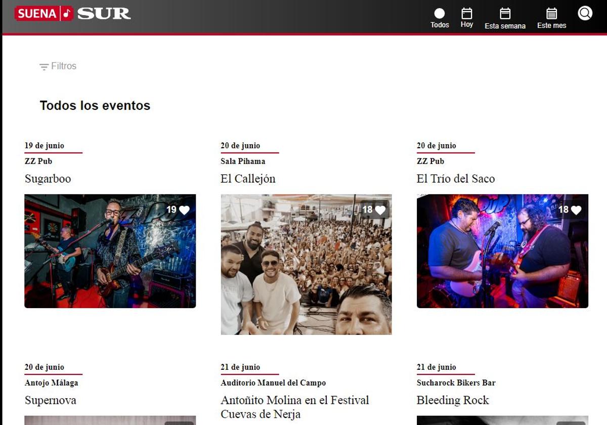 Nace Suena SUR, la web que recoge toda la agenda de música en directo de Málaga