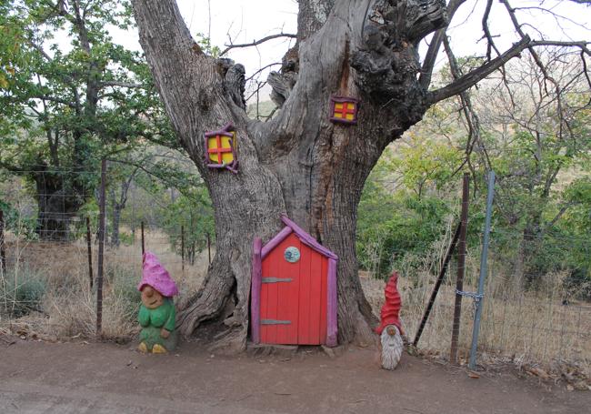 El Bosque Encantado se ha convertido en los dos últimos años en un gran atractivo de Parauta.