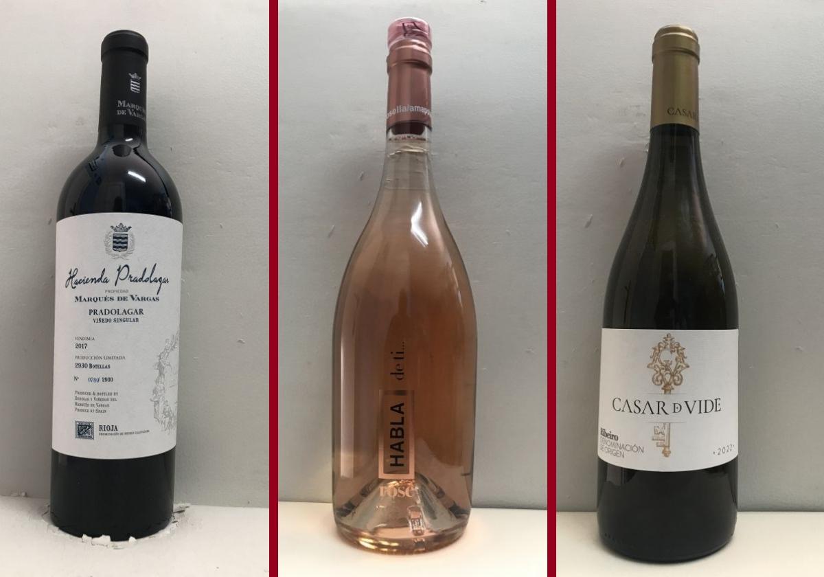 La cata: los vinos destacados de la tercera semana de junio