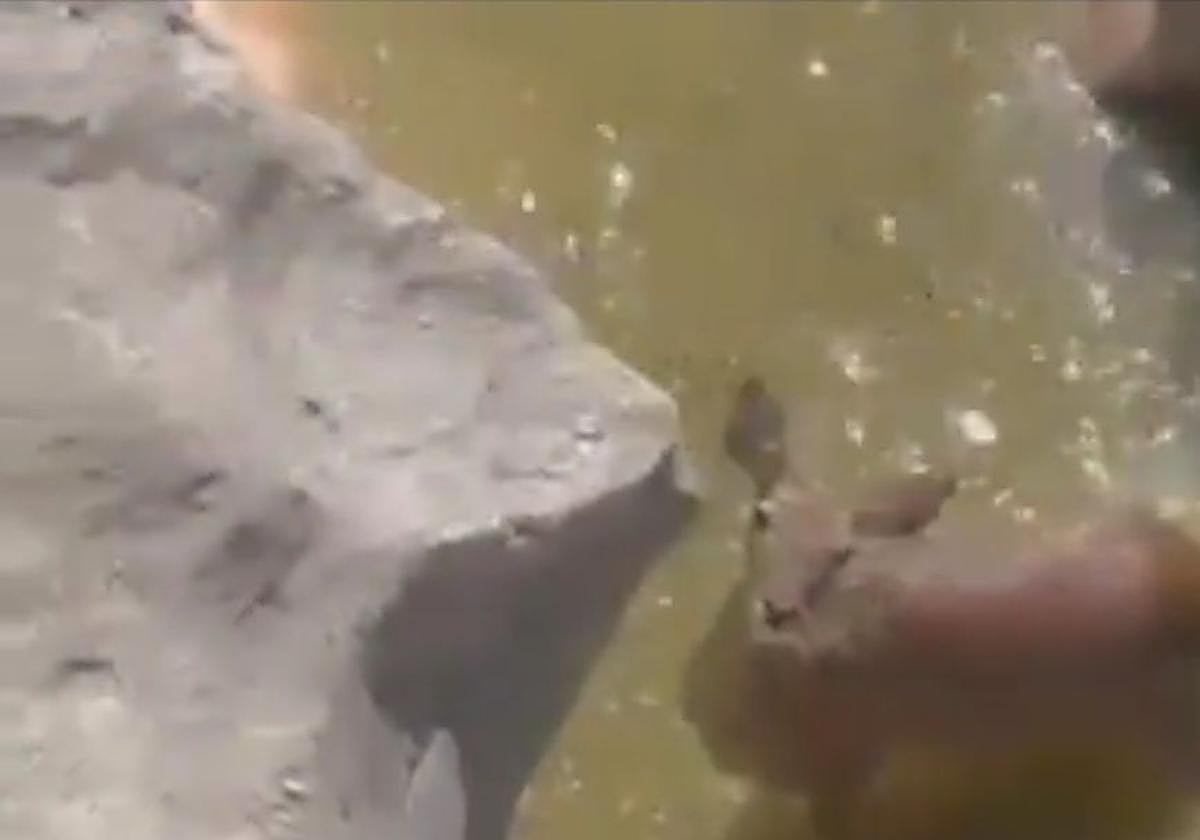 Un momento del rescate.