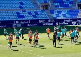 Los jugadores del Málaga se ejercitan durante el entrenamiento de este viernes en el campo principal de La Rosaleda.