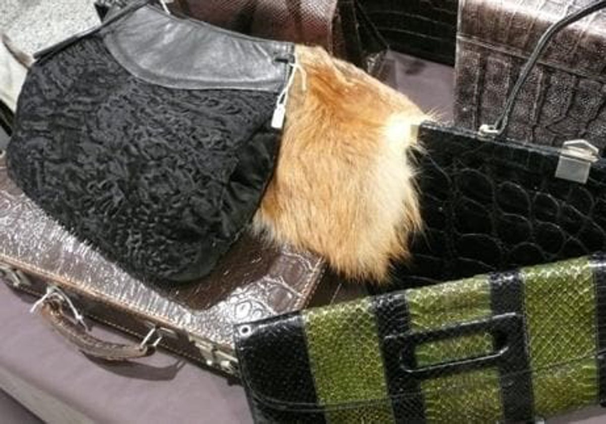 Absuelto un comisario acusado de contrabando de bolsos de piel de serpiente protegida