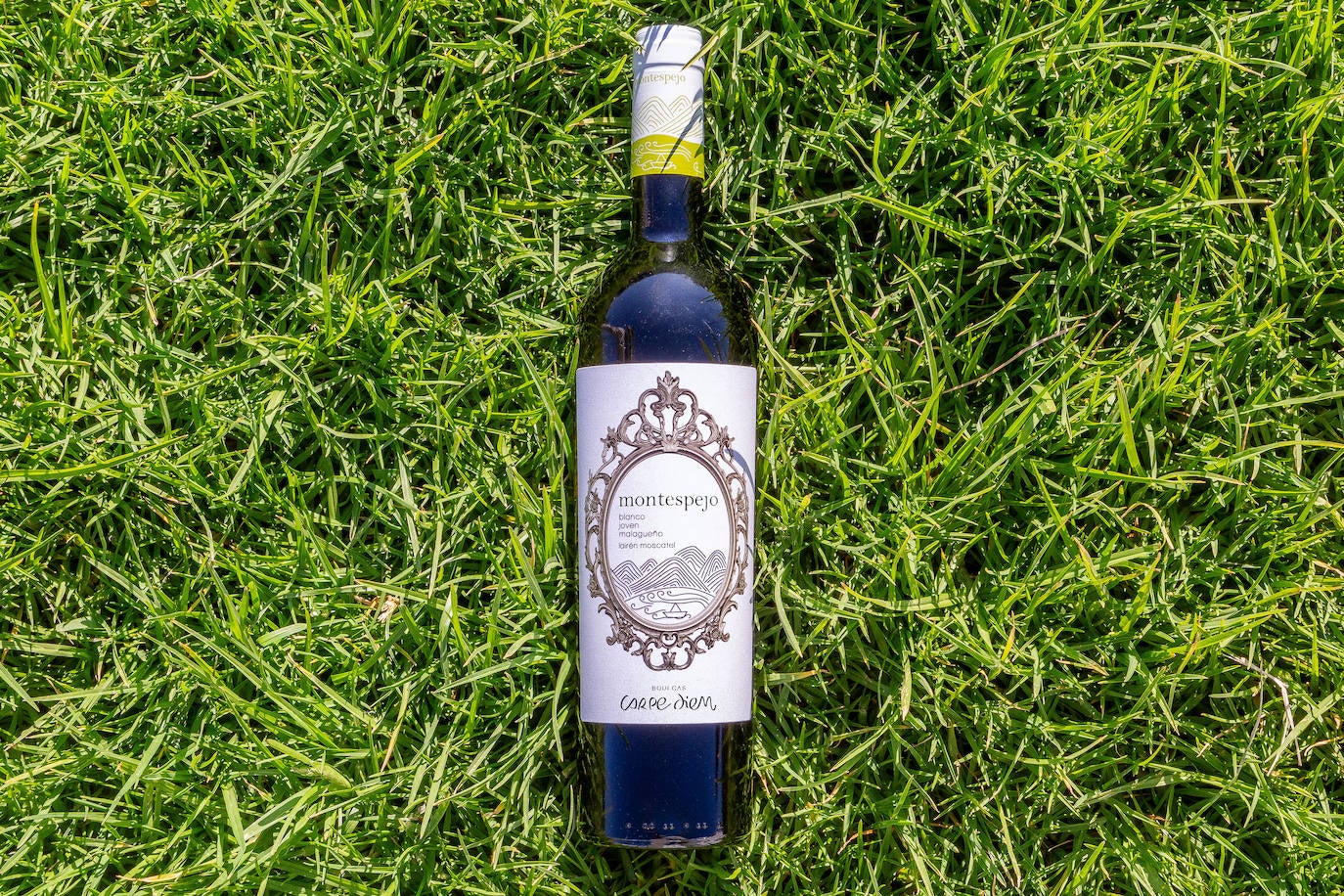 Montespejo Blanco Joven fue galardonado como Mejor Vino Blanco de Málaga en la última edición del Salón H&T.