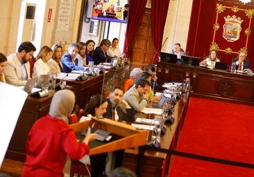 El problema de la vivienda tensa el pleno a dos días del 29J e impide ningún acuerdo claro