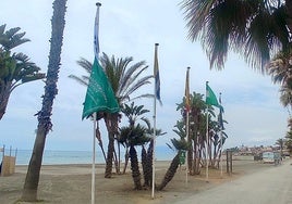 Banderas en la playa de Rincón de la Victoria.