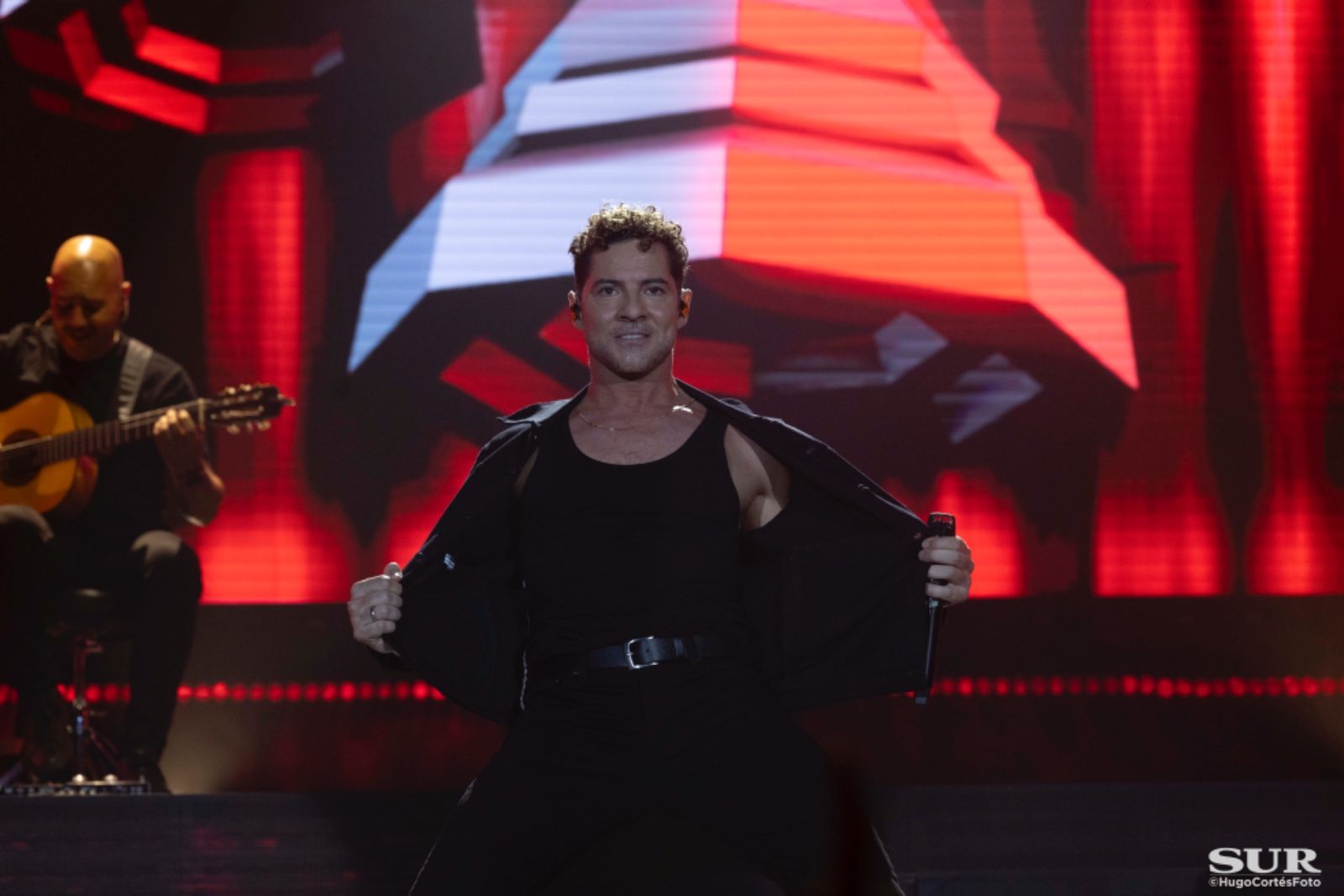 Las mejores imágenes del concierto de David Bisbal en Málaga