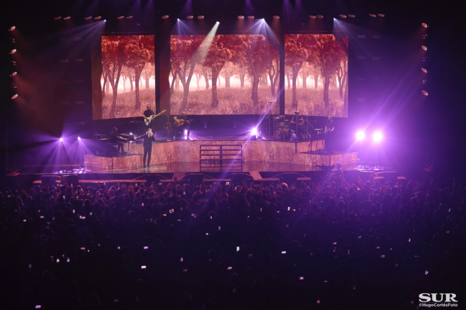 Las mejores imágenes del concierto de David Bisbal en Málaga