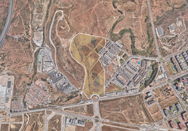 Ubicación de los terrenos para la construcción de 1.000 VPO en Soliva Oeste