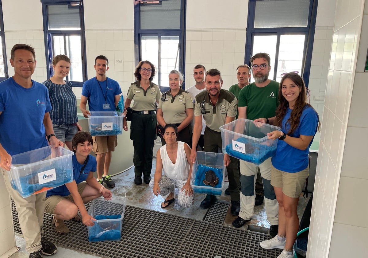 Recogida de las tortugas en el centro de la Junta de Andalucía, para ser trasladadas a Selwo Marina.