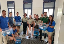 Recogida de las tortugas en el centro de la Junta de Andalucía, para ser trasladadas a Selwo Marina.