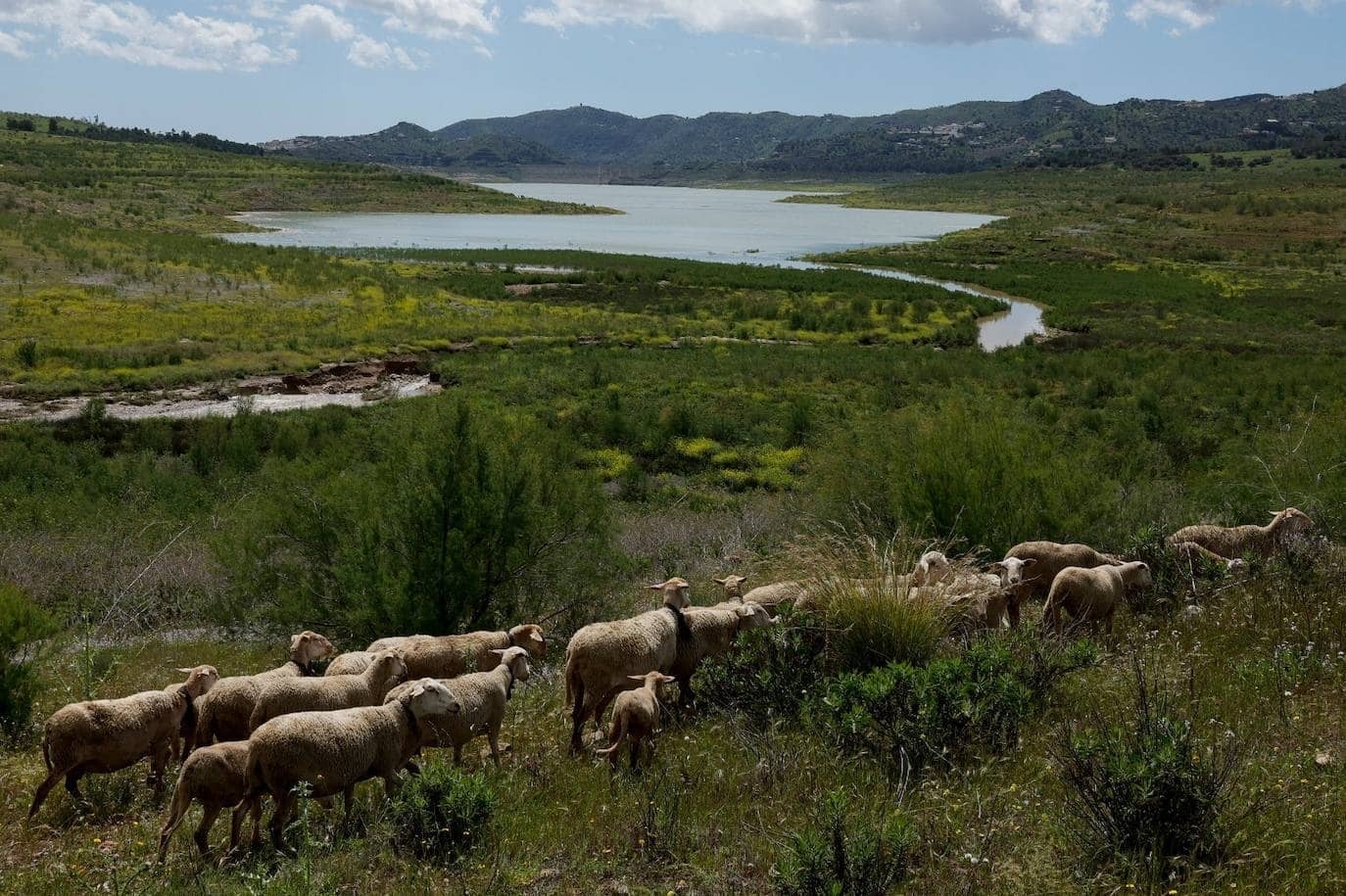 Estado de los embalses en Andalucía el martes, 09 de julio de 2024