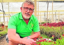 Miguel Navas, en uno de los invernaderos de flores comestibles que tiene plantados en Maro.