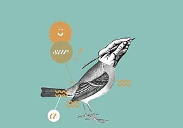 Microrrelatos SUR IV Premio Pablo Aranda: textos del 15 de julio