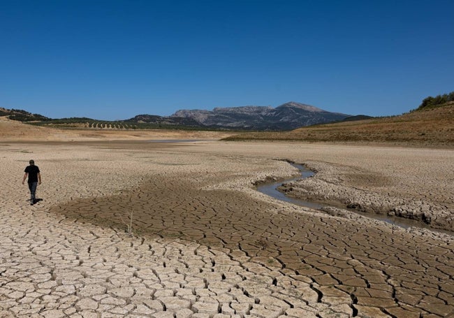 La cola del embalse de Guadalteba.