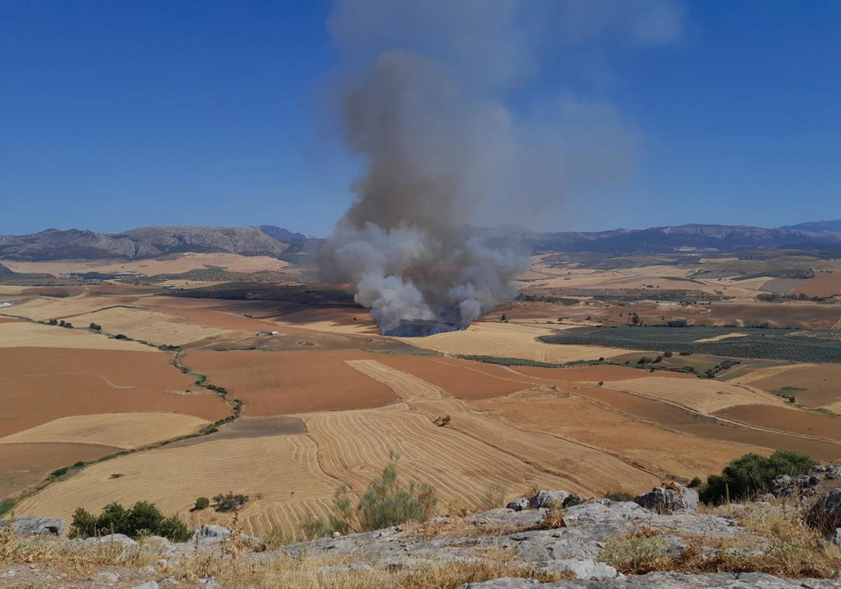 Extinguido el incendio forestal en Cañete la Real