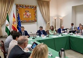 La consejera de Fomento, en el centro, esta mañana al inicio de la reunión.