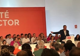 Juan Espadas se dirige al Comité Director del PSOE.