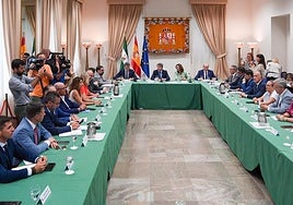 Momento de la reunión celebrada ayer en Málaga.