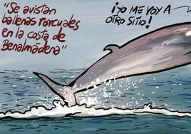 La viñeta de Idígoras (21/07/24)