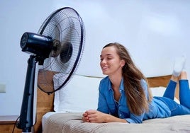 Estos son los mejores ventiladores para combatir el calor en casa según la OCU